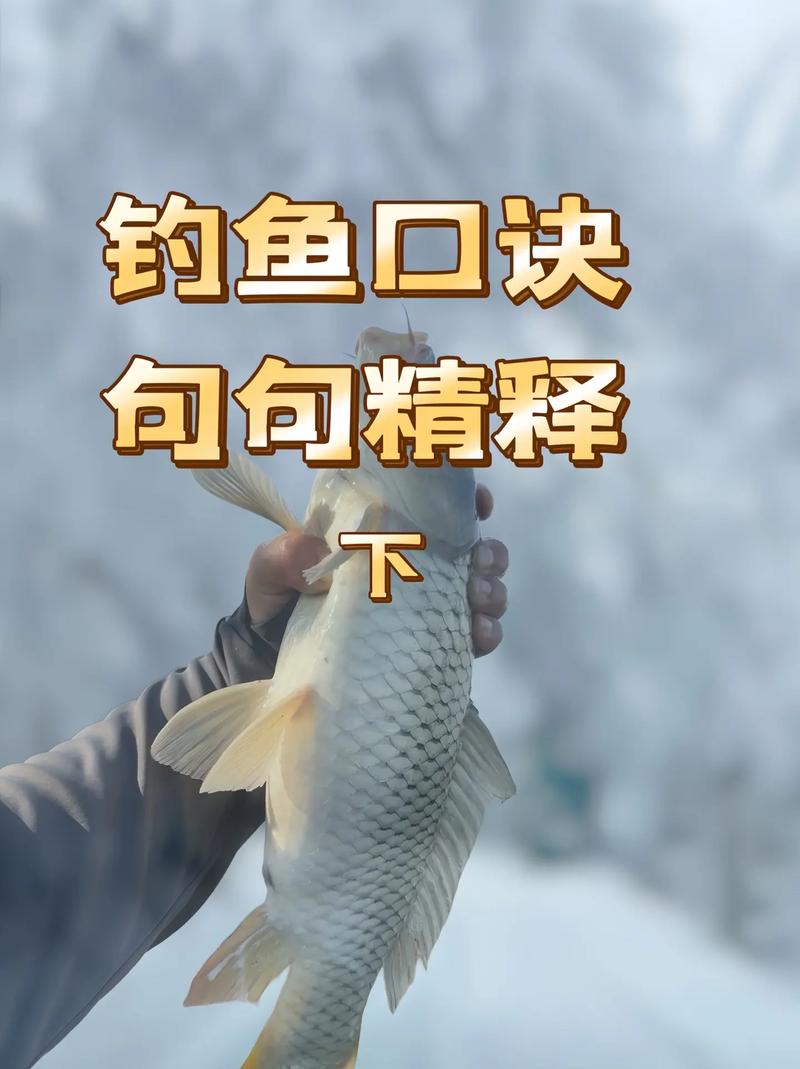 釣魚視頻高清豎屏_釣魚視頻高清_釣魚視頻高清看漂