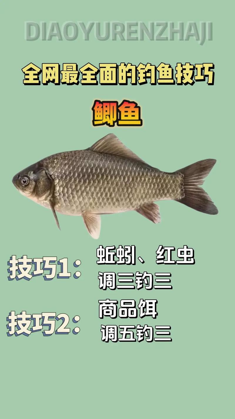 夏季魚餌配方大全野釣_夏季魚餌料怎么調最好_夏季釣魚使用魚餌的四個技巧必看