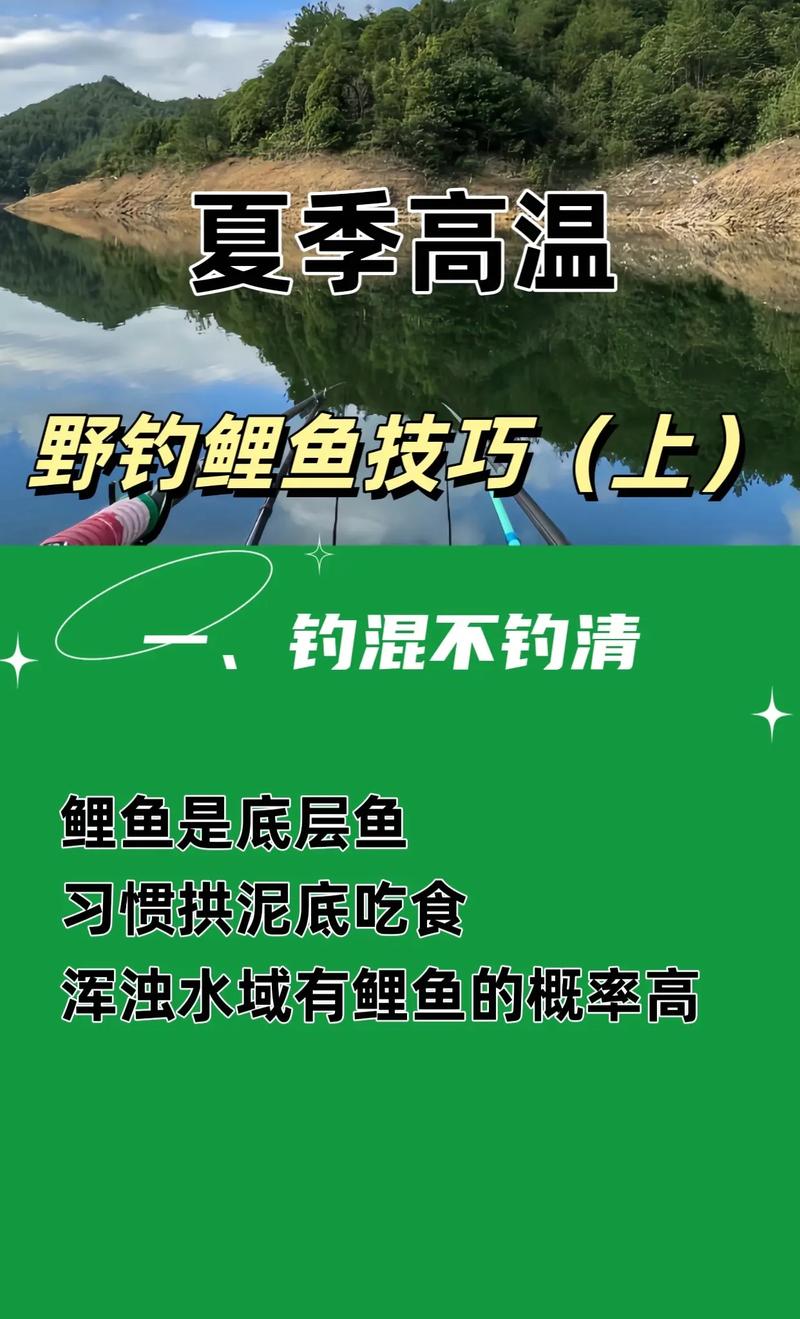 分享夏天釣魚的三個技巧