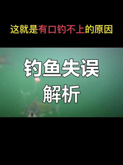 釣魚網視頻_釣魚視頻網站_釣魚視頻網站大全