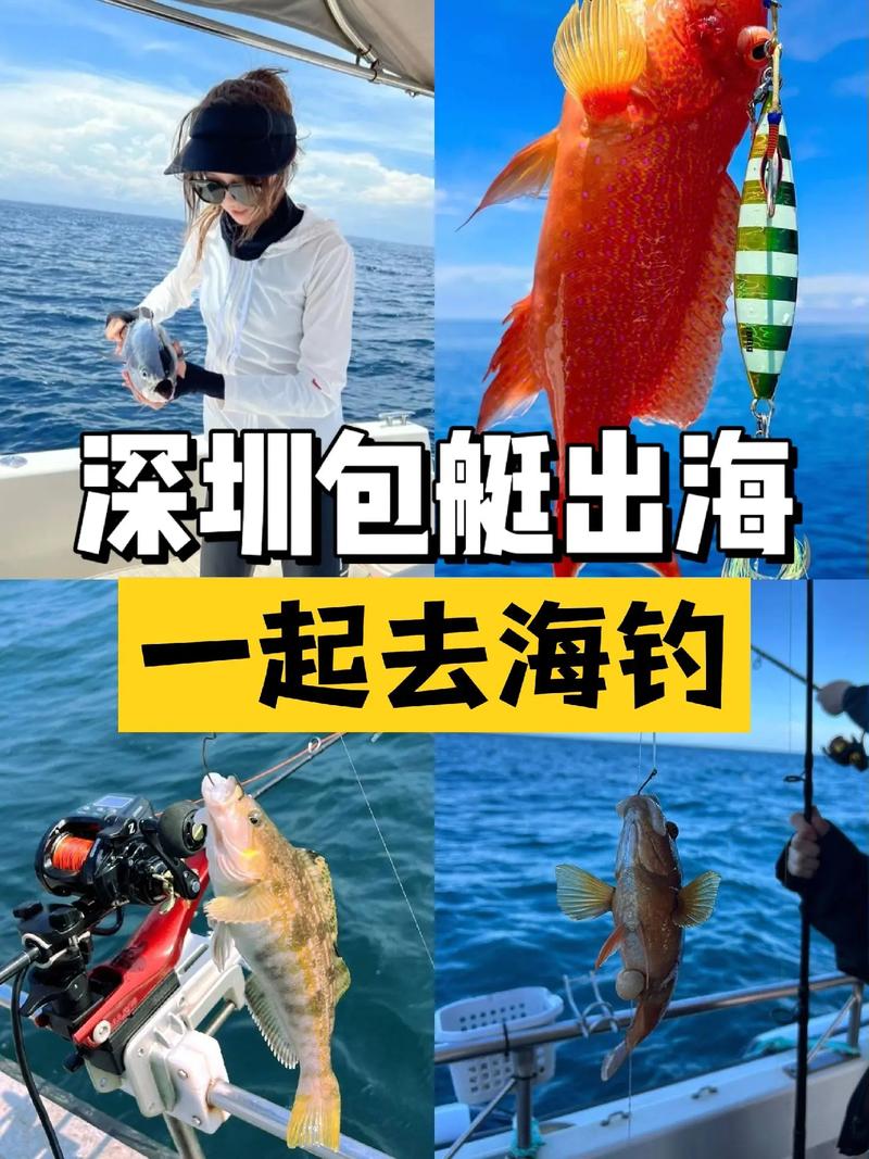 深圳海釣小表妹的精彩故事：從新手到裝備達人的海釣之旅
