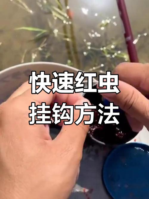 用紅蟲釣魚必須掌握的技巧和知識（三）_釣魚用紅蟲怎么用_釣魚用紅蟲危害有多大