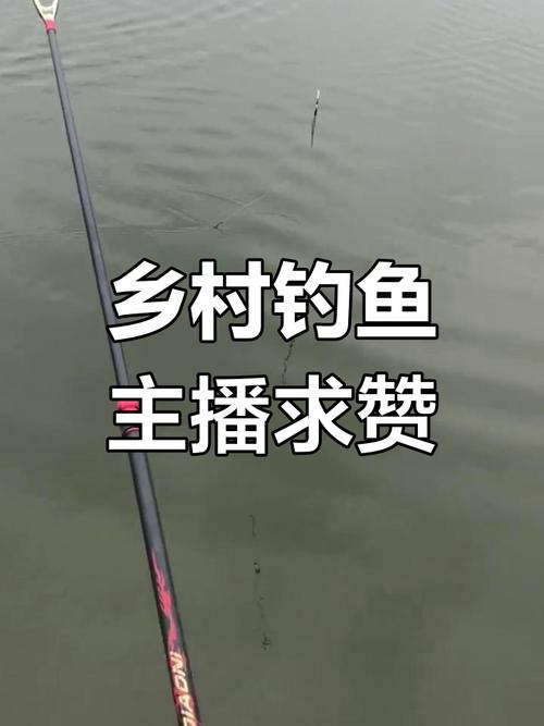 釣魚頻道app_釣魚頻道在線直播_釣魚頻道直播在線觀看