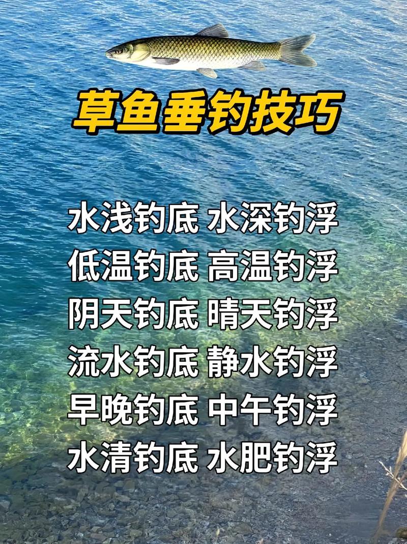 海竿釣草魚釣浮還是釣底_釣底浮草魚海竿怎么樣_釣底浮草魚海竿好用嗎