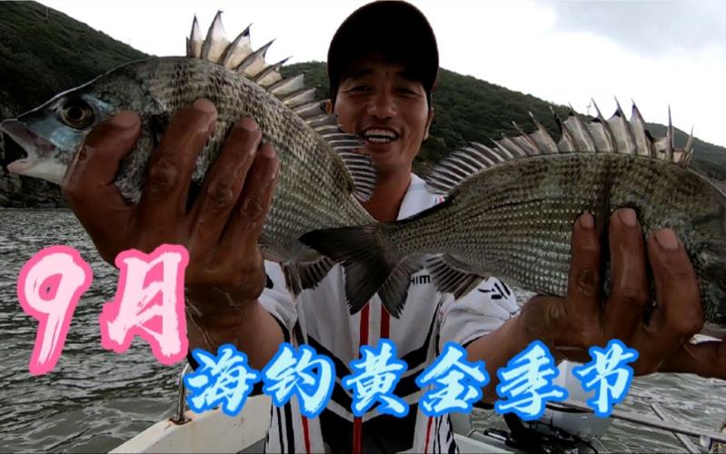 阿杰海釣視頻大全高清視頻_阿杰海釣視頻最新_阿杰海釣魚
