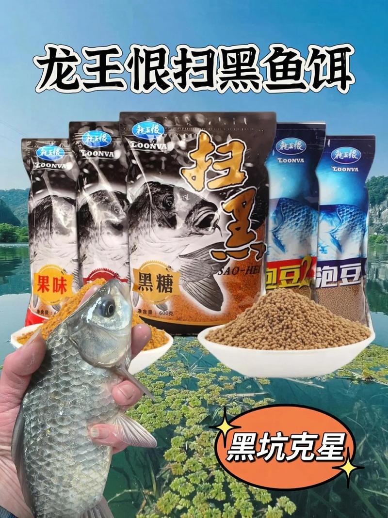 夏天釣鯉魚用什么商品餌