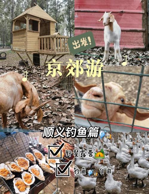 釣魚嘍-釣魚之家_釣魚家杰瑞米瓦德_釣魚家庭不和