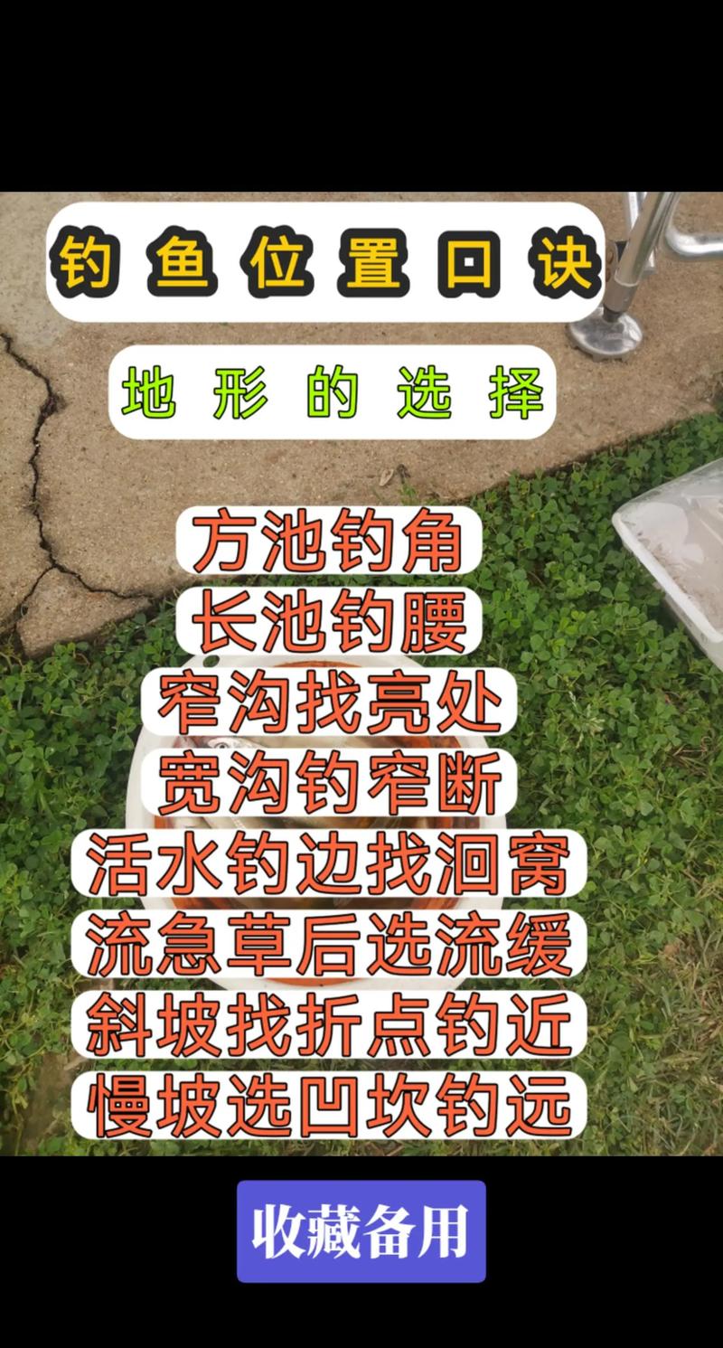 在家不出門？看釣魚視頻領略風光學技巧，釣魚視頻下載信息全解析