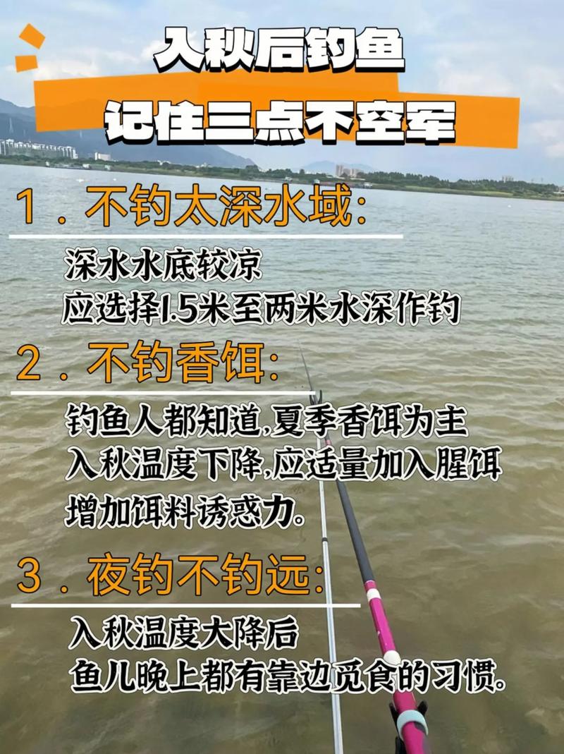 釣魚視頻下載_釣魚視頻下載什么軟件_釣魚視頻下載網站