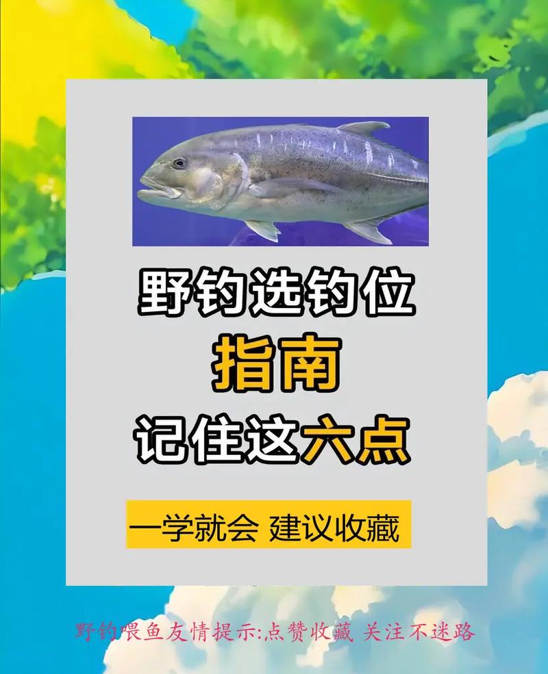 釣魚頻道是哪個頻道_釣魚頻道野釣_釣魚頻道