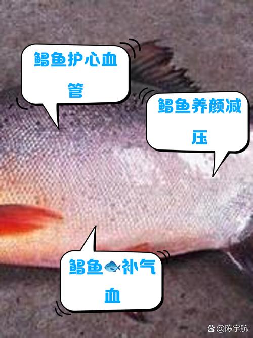 紅鯧魚價格受多方影響:產地、季節,各情況下價格狀況解析