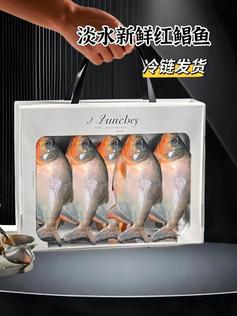 紅鯧魚價格行情最新價_紅鯧魚價格多少錢一斤_紅鯧魚多少錢一斤2020