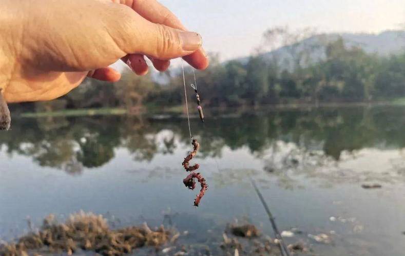 附近釣魚的地兒_附近的免費釣魚場所_附近免費釣魚的地方