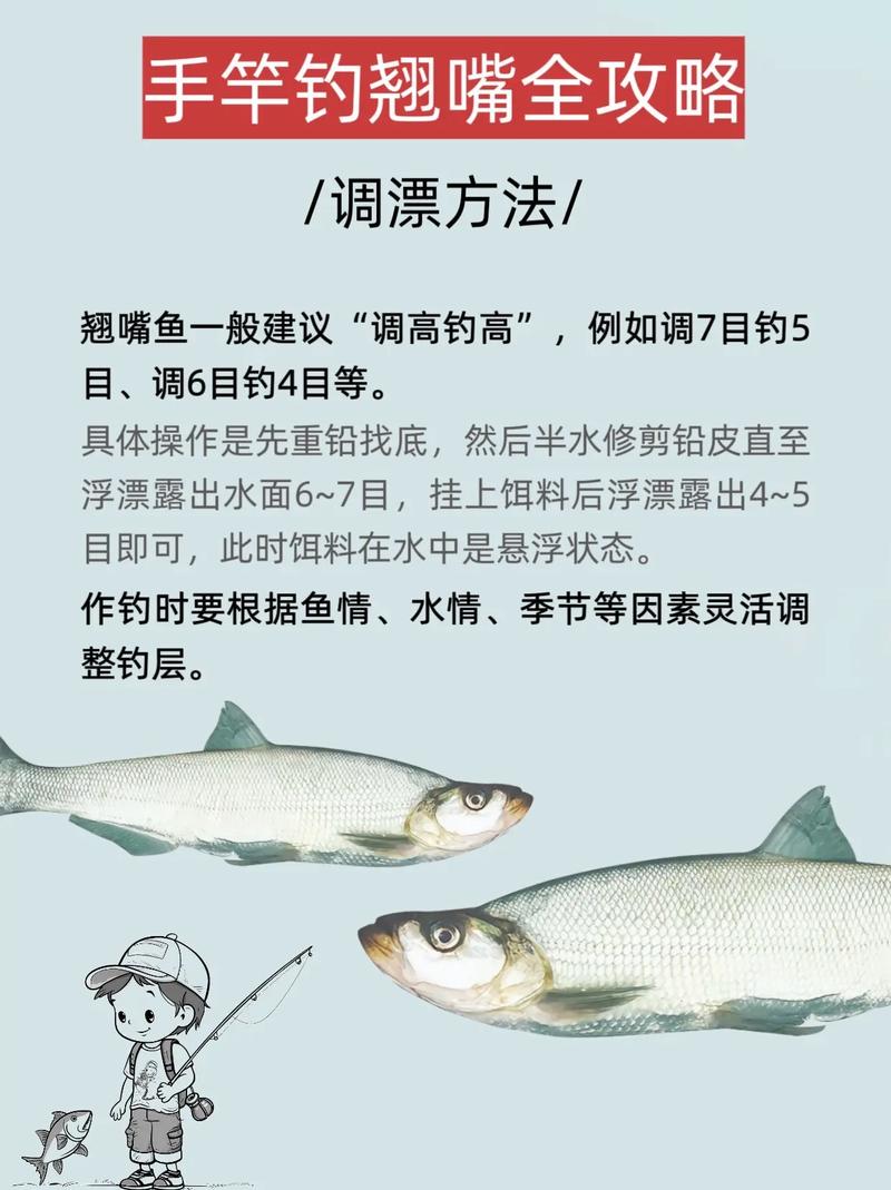 春天將至漁友欲釣翹嘴紅鲌 提前準備資料供參考