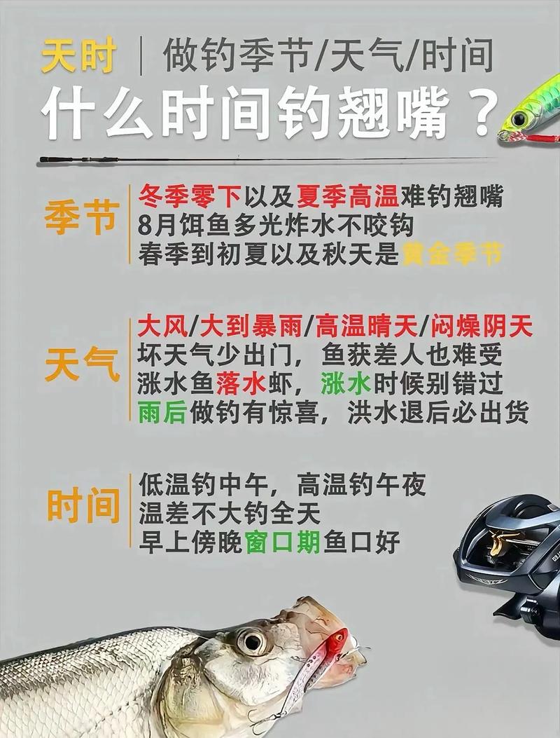 翹嘴紅鲌的垂釣技巧_紅翹嘴魚圖片大全_紅翹嘴怎么釣