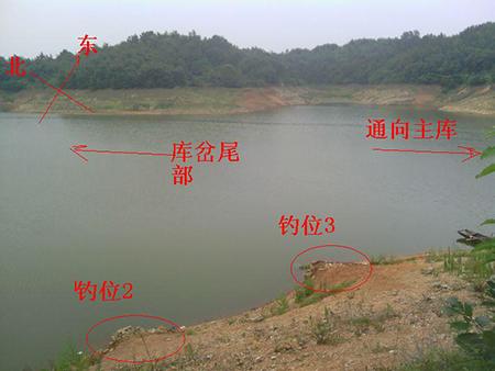 薛家營水庫釣魚攻略：環境、魚種與最佳時機全解析
