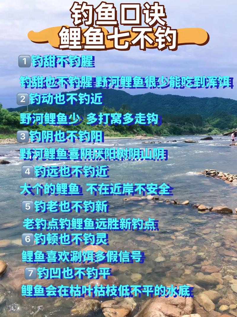 秋季釣魚技巧_釣魚人必看_海峽釣魚論壇釣友秋季釣魚總結必看_秋季釣魚視頻