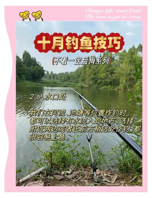 秋季釣魚視頻_海峽釣魚論壇釣友秋季釣魚總結必看_秋季釣魚技巧_釣魚人必看