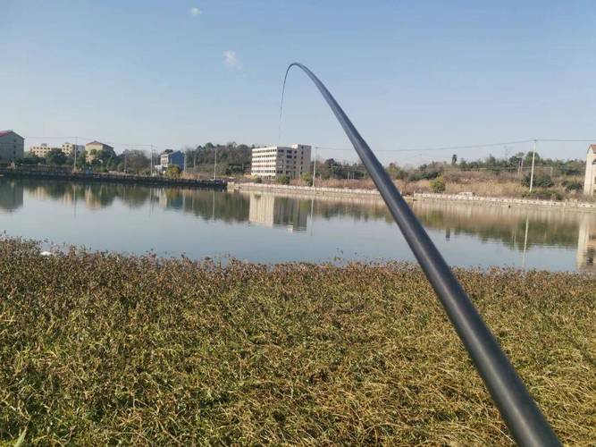 臺釣魚視頻_臺釣視頻野釣實戰_臺釣視頻
