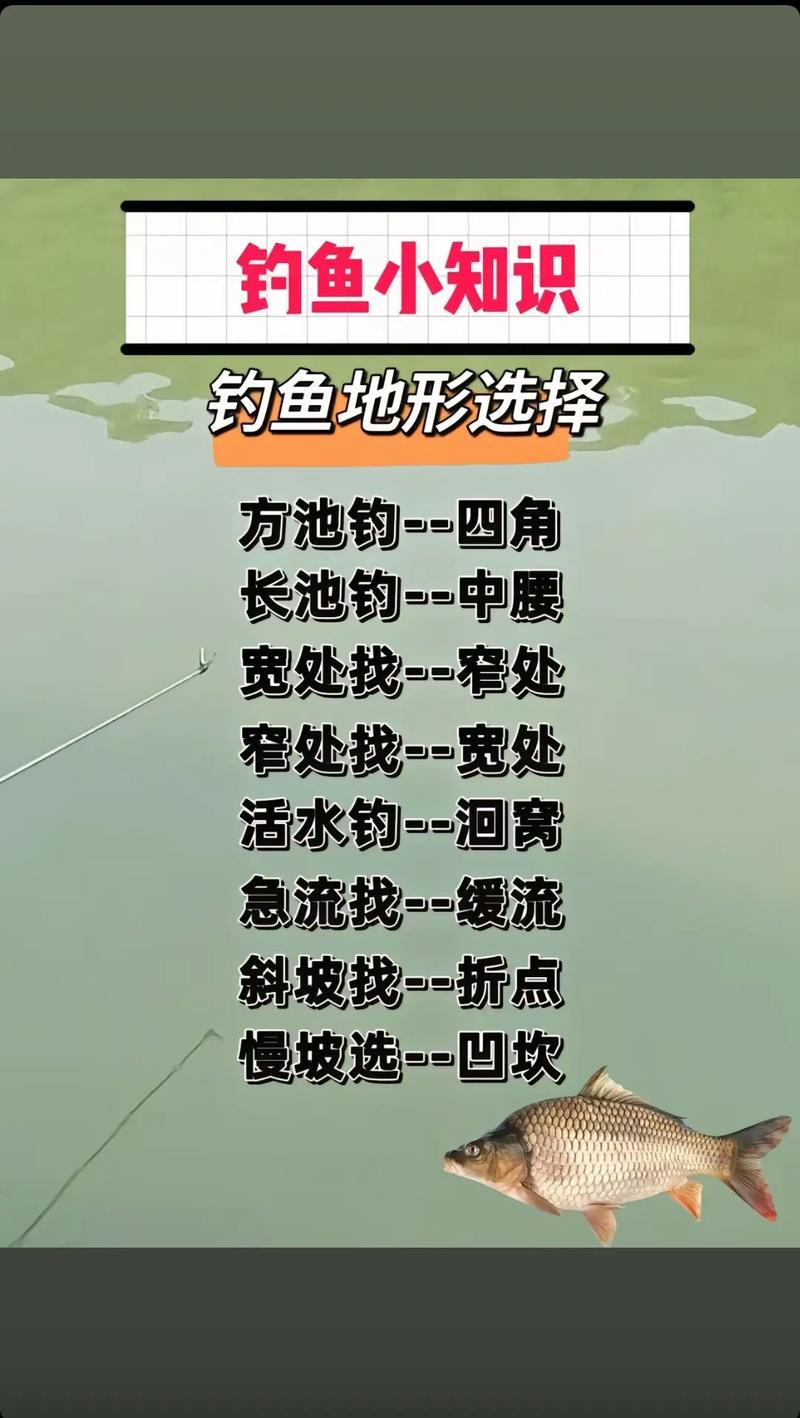 釣魚人如何走出選魚鉤的誤區