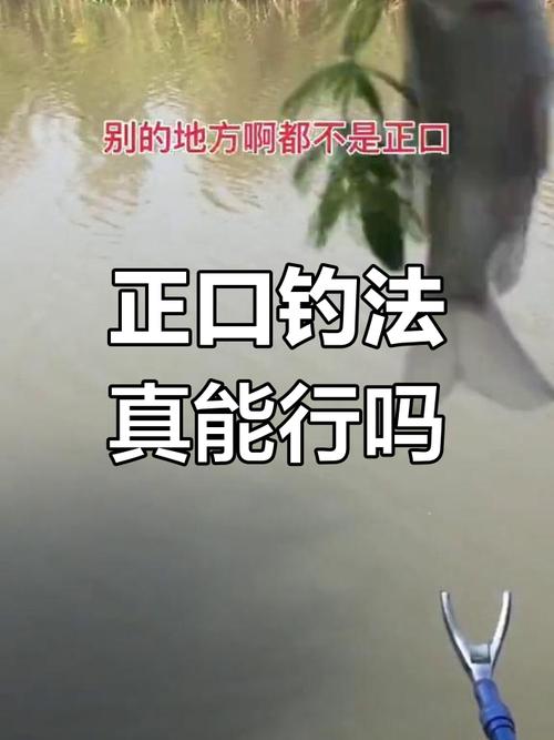 釣魚人釣的不是魚_釣魚人如何走出選魚鉤的誤區_釣魚釣到懷疑人生