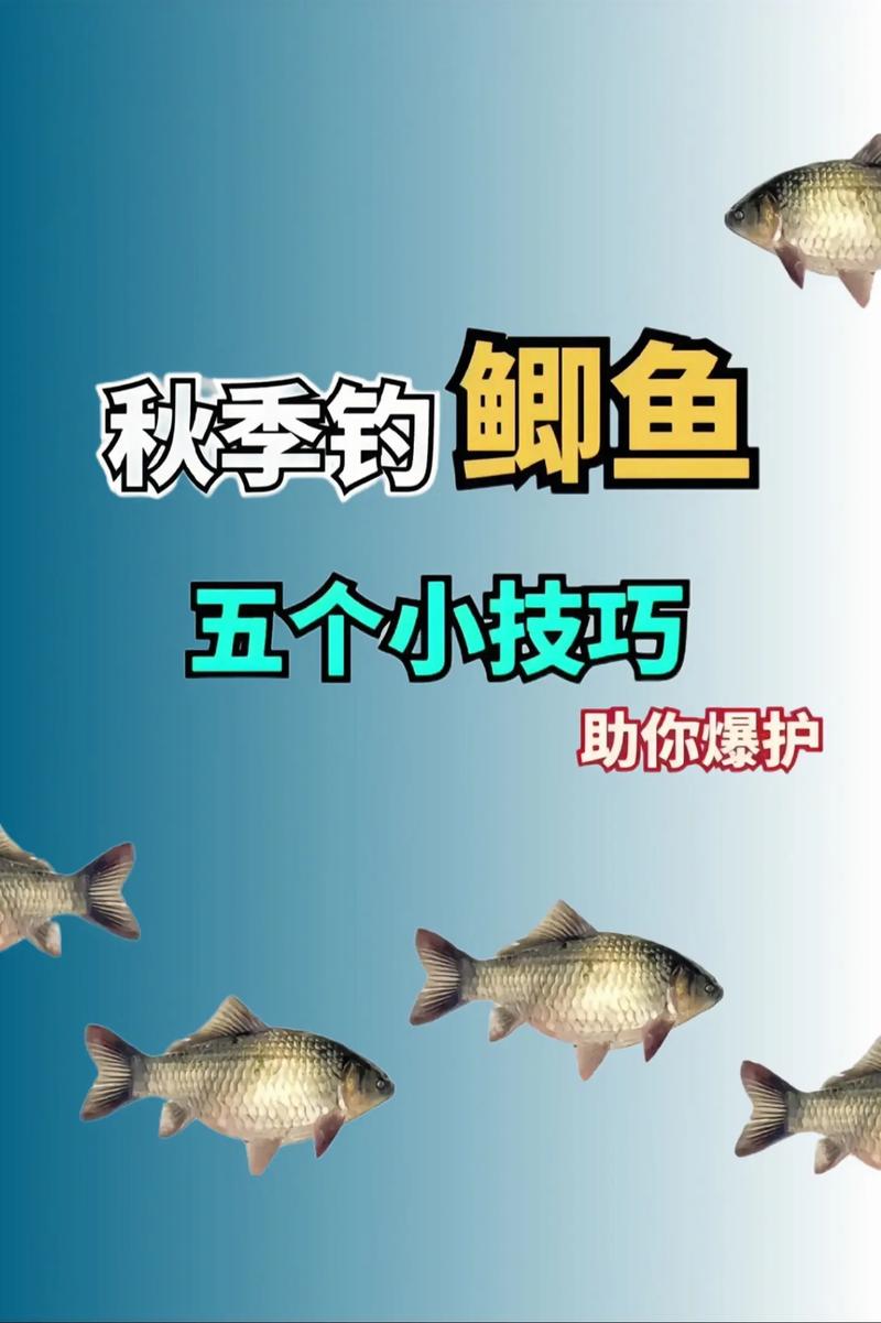 秋季野河釣魚技巧：選擇最佳時間與釣點提升收獲