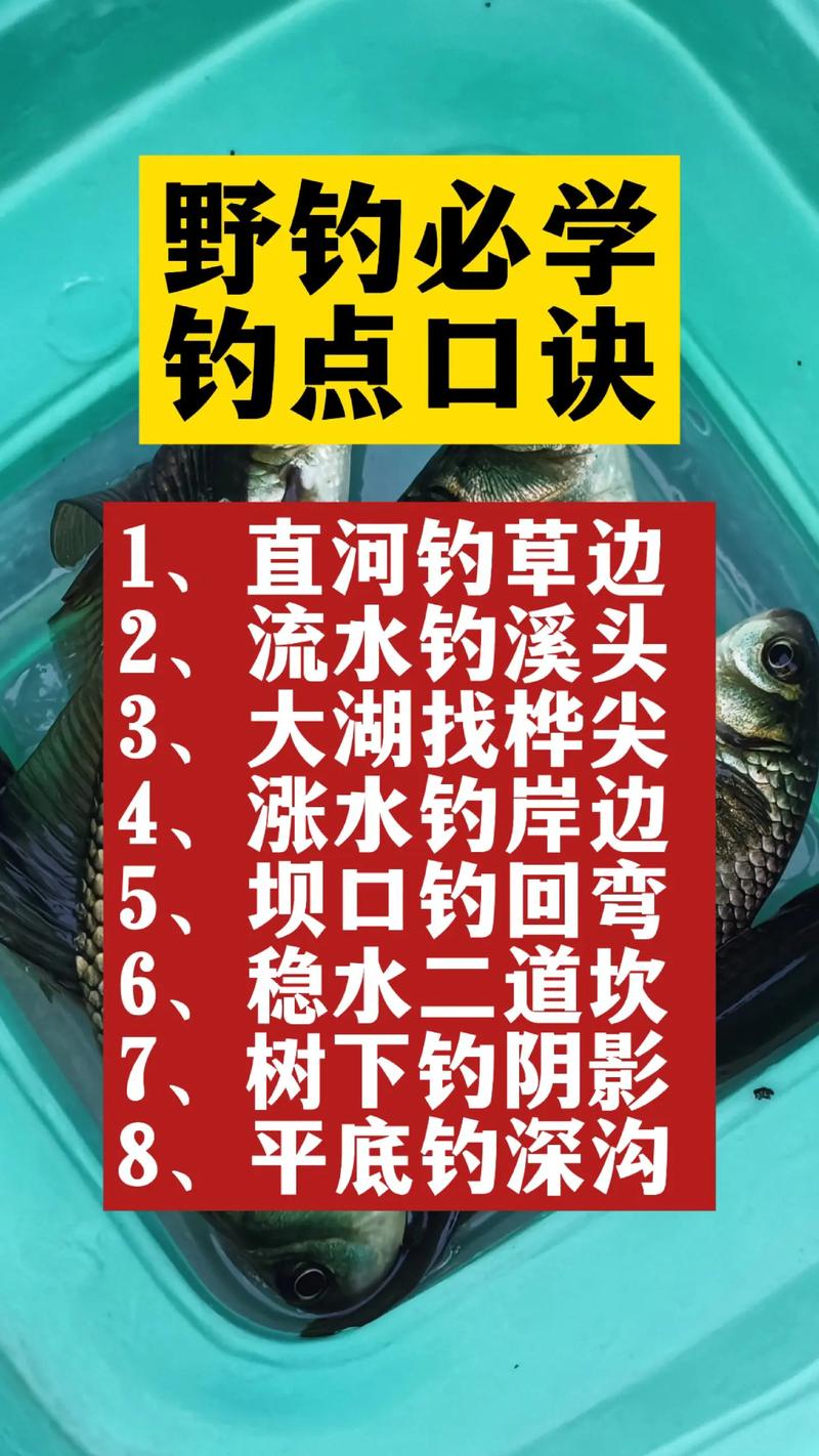秋季野河釣魚技巧_釣魚秋季野河技巧視頻_釣魚秋季野河技巧和方法
