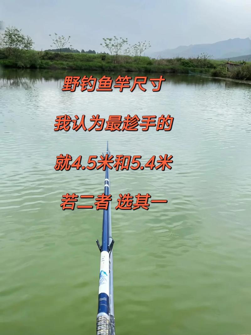 實用魚竿推薦_魚竿選擇45和54那個實用_實用魚竿選擇哪種好