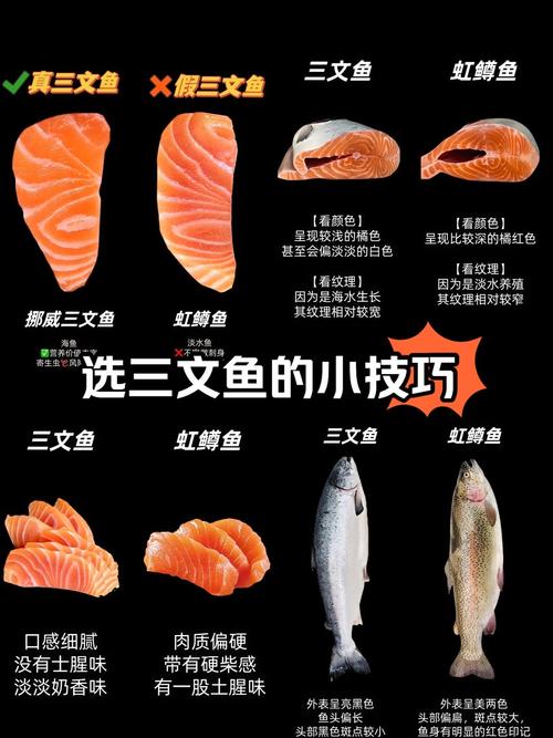 虹鱒魚和三文魚有什么區別_三文魚是不是虹鱒_分辨三文魚和虹鱒