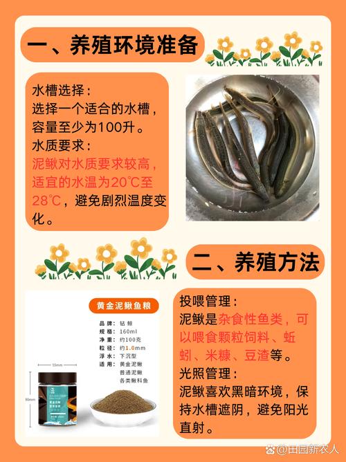 視頻養殖稻田泥鰍技術教程_稻田泥鰍養殖技術視頻_視頻養殖稻田泥鰍技術大全