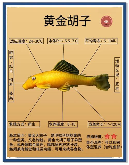 胡子魚最愛吃什么東西_胡子魚愛吃什么東西_胡子吃小魚