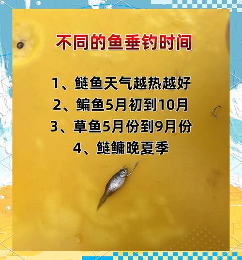 韶關北江可以釣魚嗎_韶關北江有什么魚_韶關沐溪北江大橋附近釣魚
