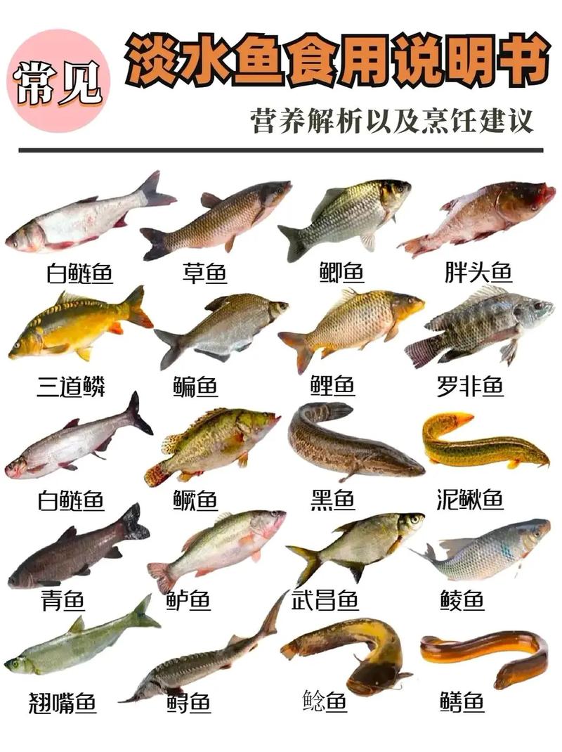 開胃魚小零食圖片_魚開胃的使用方法_開胃魚怎么吃