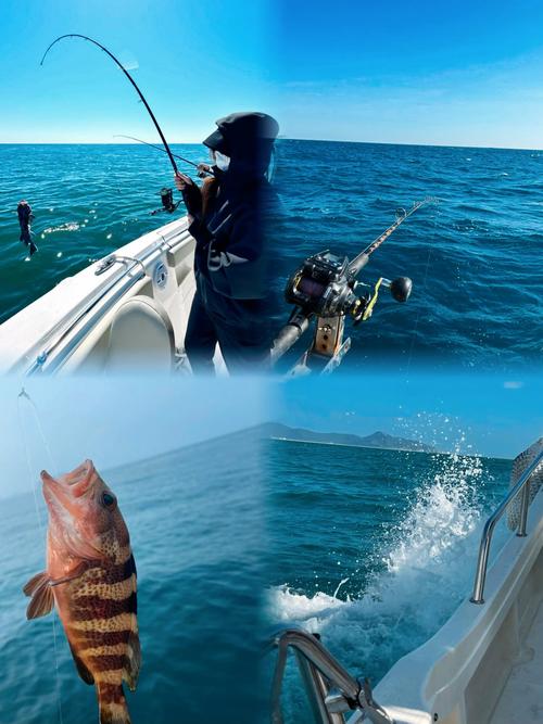 海釣魚視頻_釣魚視頻海釣巨物_釣魚視頻海釣來不及