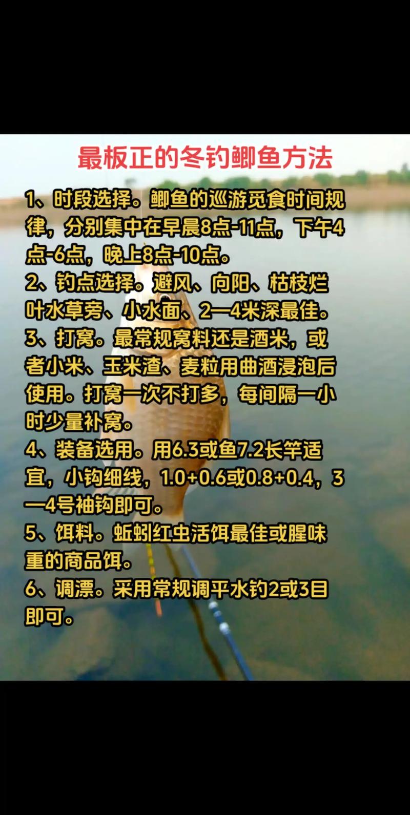 冬季釣魚技巧大揭秘：掌握魚兒習性、時間選擇與餌料搭配