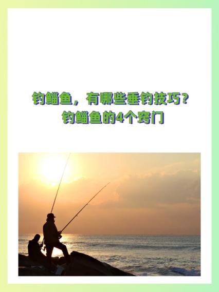 拍梭魚釣組_魚排手把線釣釣梭、鯔魚的心得技巧_梭魚拍竿線組