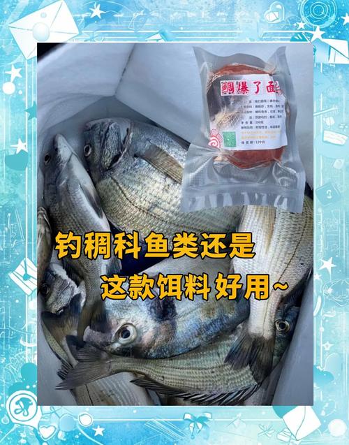 海釣魚餌制作教程_去海釣魚用什么魚餌_海釣魚餌料