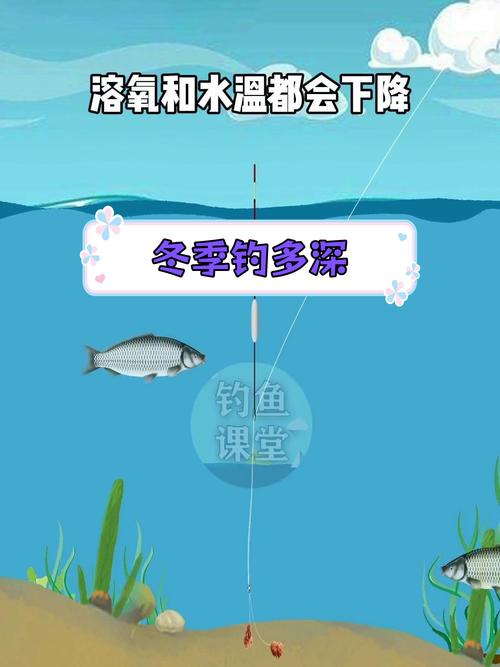 冬季垂釣水深選擇指南：晴天陰天不同水域最佳釣魚深度解析