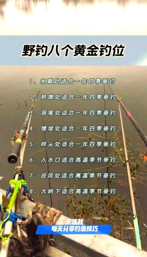 潘家口釣魚攻略：最佳釣點、時間與餌料選擇技巧分享