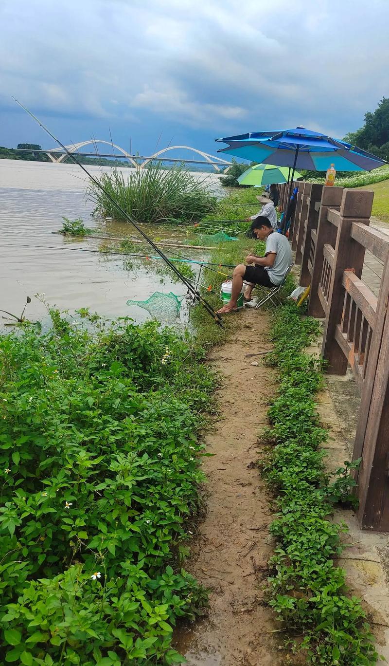 釣魚資訊大全_關于釣魚的新聞_釣魚新聞_釣魚資訊_漁人趣事