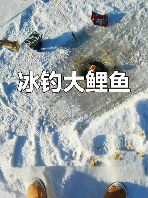 中國釣魚視頻火爆網絡：江南水鄉到北方冰釣的獨特魅力與多樣魚種