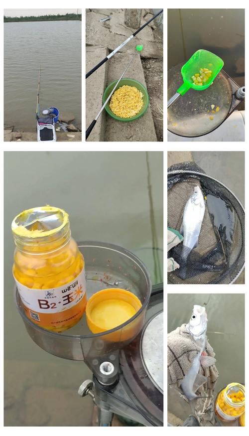 排名第一的草魚餌料_草魚餌料排行榜_好用的草魚商品餌