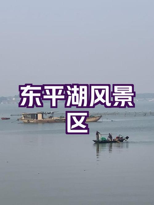 東平湖釣魚去哪個位置_東平湖野釣_東平湖釣魚地點