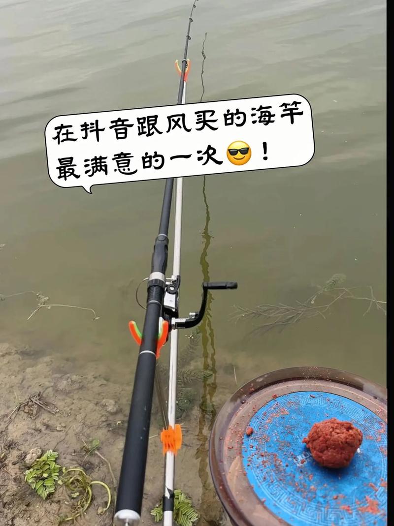 新手上手買海桿還是磯竿好？主攻湖庫_手竿好還是磯竿好_磯竿當手竿用的缺點