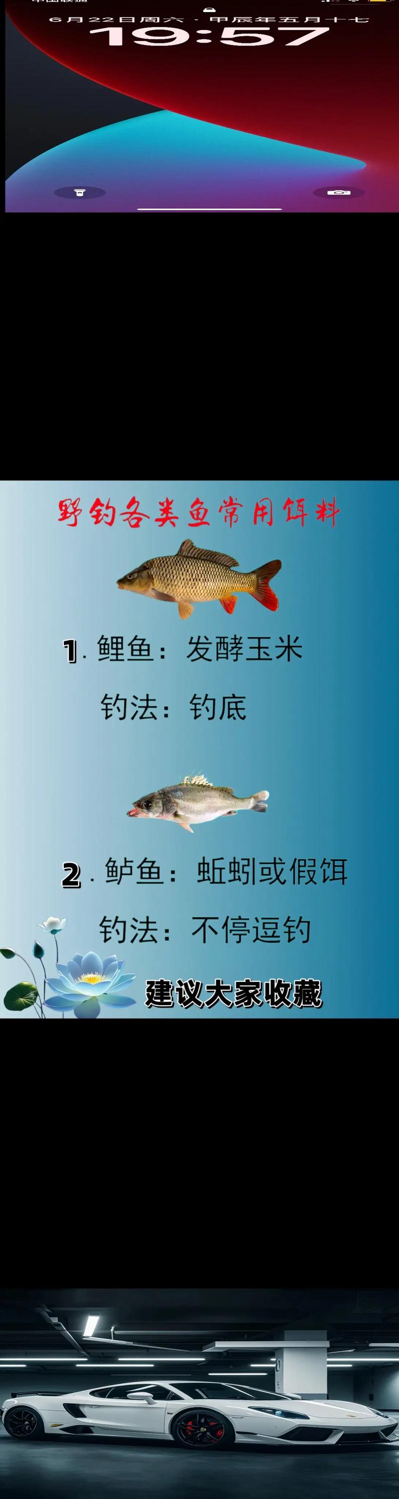 釣魚魚餌推薦?