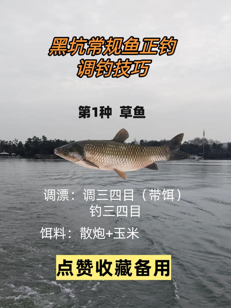 釣黑坑怎樣調漂_黑坑調漂的正確方法_黑坑釣魚如何調漂?看看這4種方法