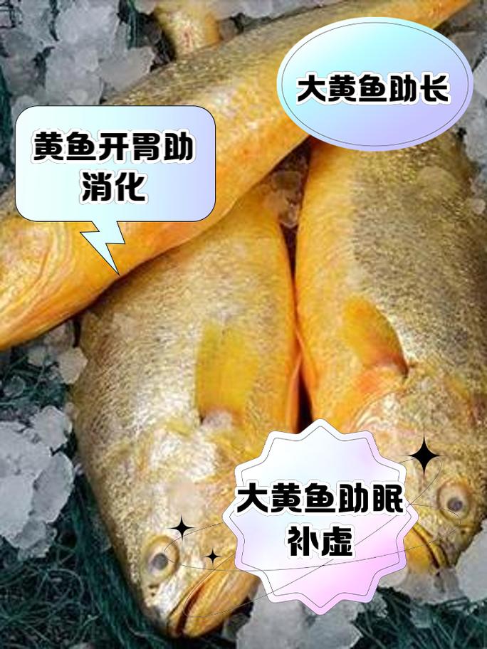 海魚黃花魚是海魚嗎_黃花魚是海魚嗎_海魚黃花魚是什么魚