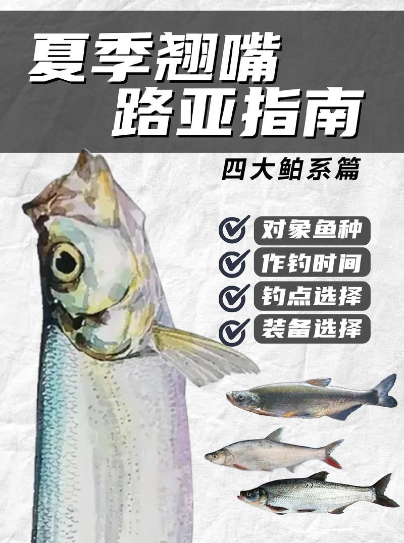 路亞翹嘴用什么調性和線組搭配_路亞翹嘴用m還是ml調性_翹嘴路亞竿調性