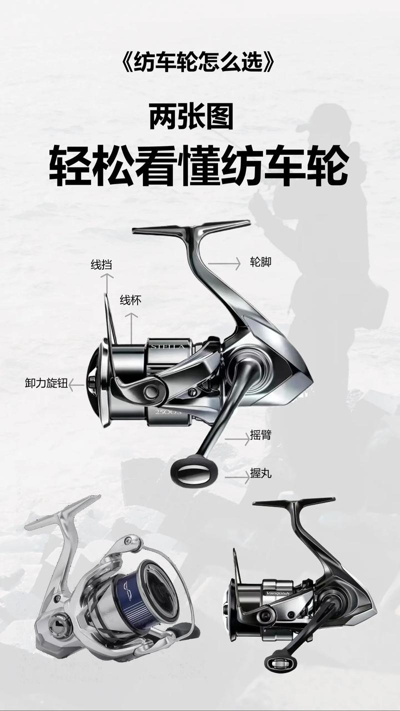 紡車輪結構圖解_車輪結構圖解剖圖_車輪的結構圖