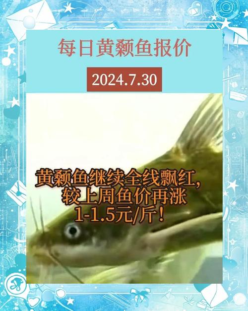 黃顙魚(黃骨魚)多少錢一斤_黃顙魚魚骨_黃骨魚的功效及禁忌